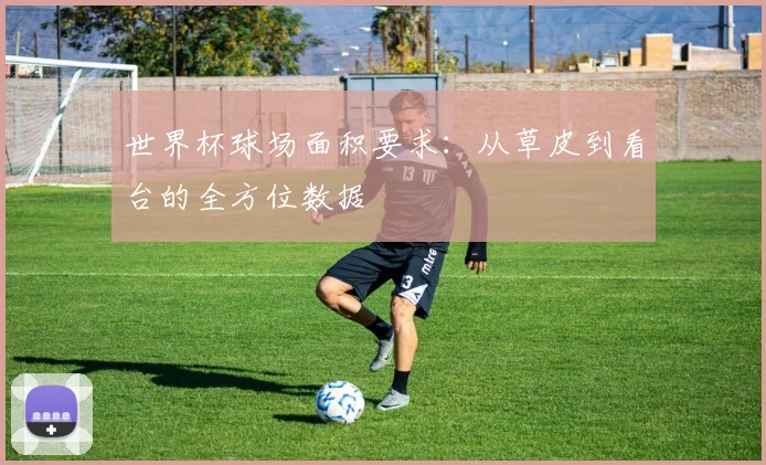 世界杯球场面积要求：从草皮到看台的全方位数据