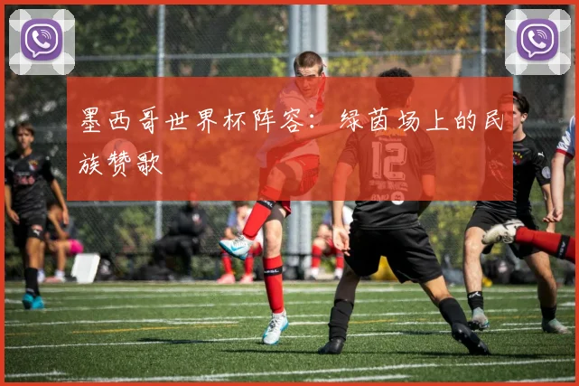 墨西哥世界杯阵容：绿茵场上的民族赞歌