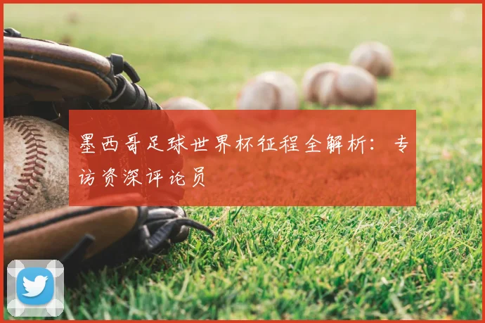 墨西哥足球世界杯征程全解析：专访资深评论员