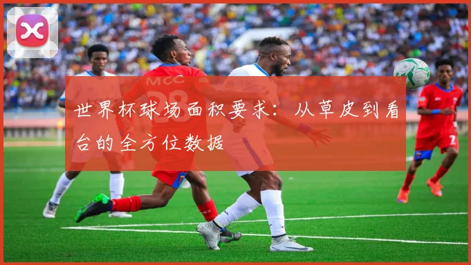 世界杯球场面积要求：从草皮到看台的全方位数据