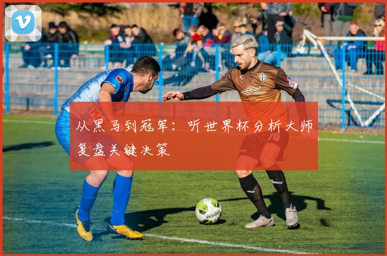从黑马到冠军：听世界杯分析大师复盘关键决策